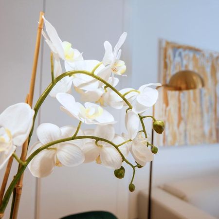 Tirso Suite มาดริด ภายนอก รูปภาพ