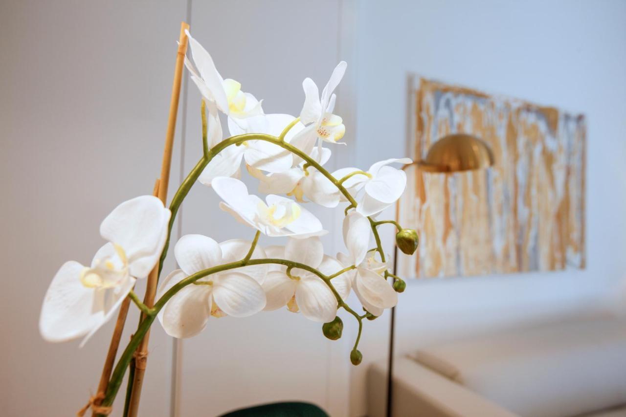 Tirso Suite มาดริด ภายนอก รูปภาพ